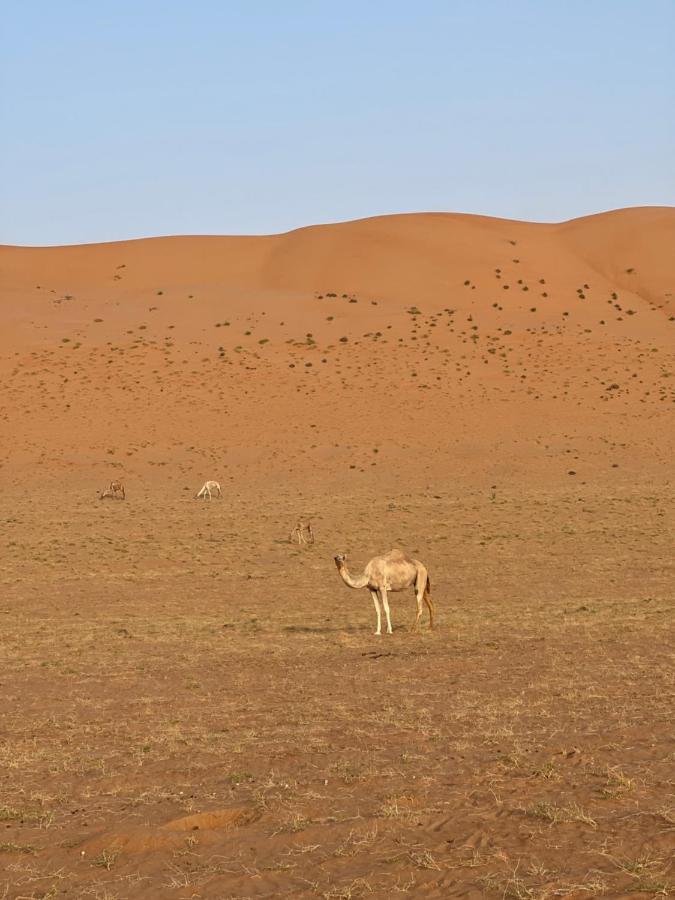 Thousand Stars Desert Camp Badīyah Exterior foto