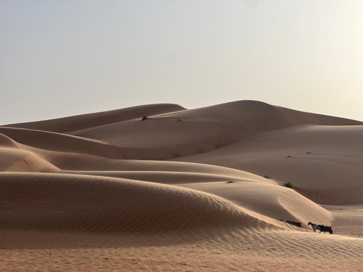 Thousand Stars Desert Camp Badīyah Exterior foto