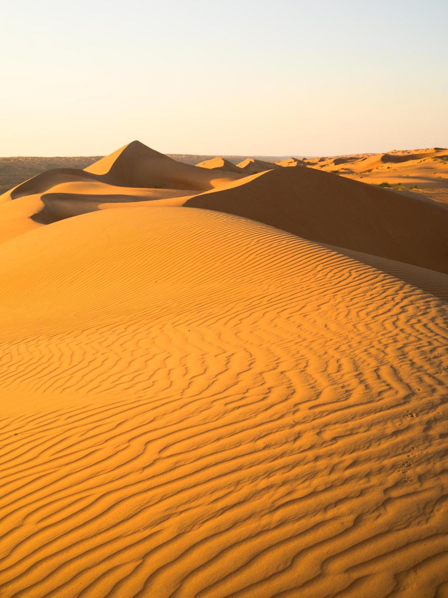 Thousand Stars Desert Camp Badīyah Exterior foto